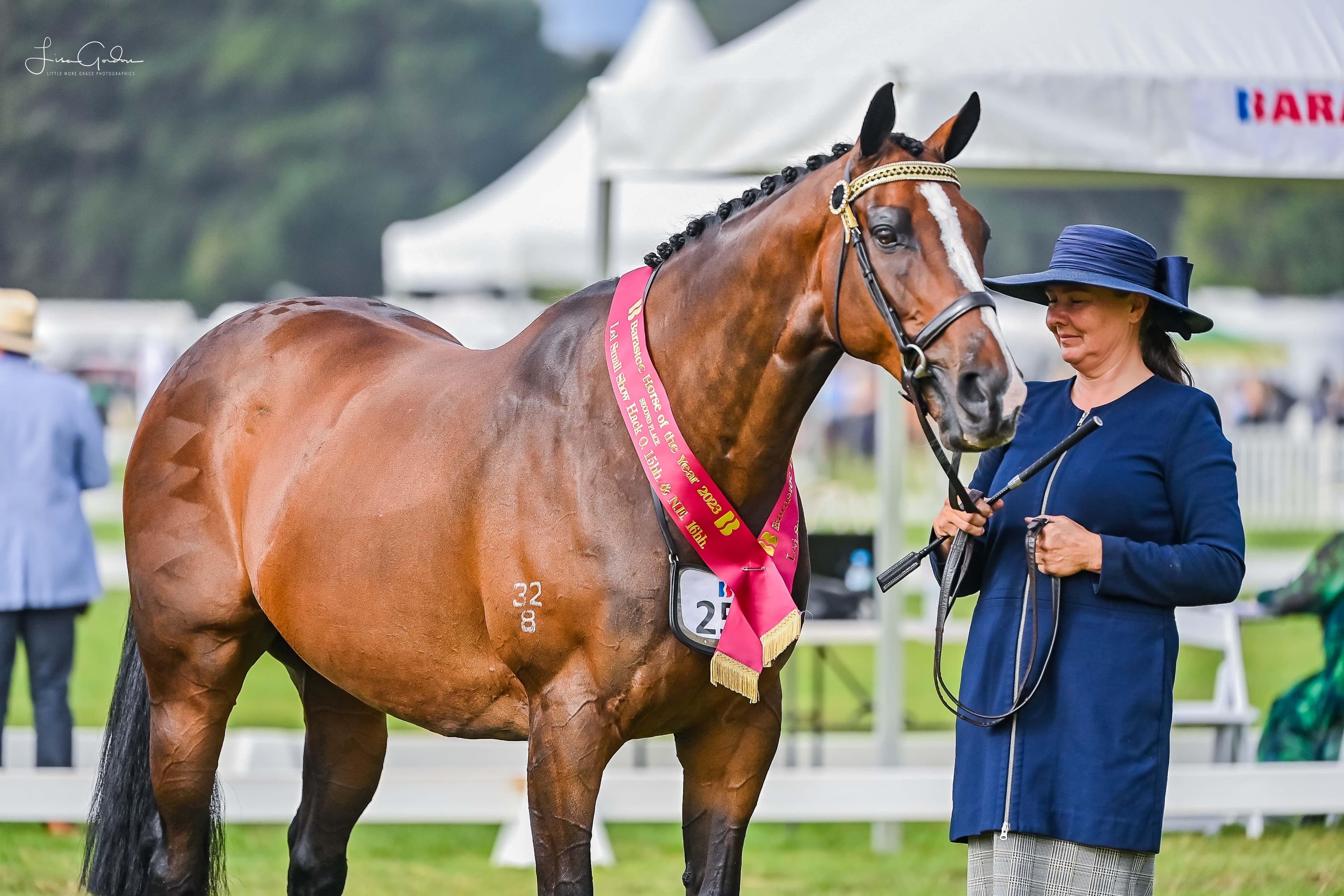 Rehoming & Competition